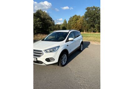Ford Kuga Gebrauchtwagen