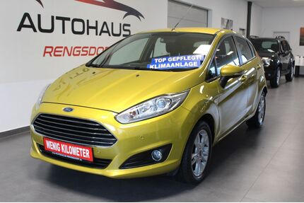 Ford Fiesta Gebrauchtwagen