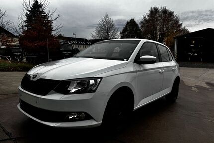 Skoda Fabia Gebrauchtwagen