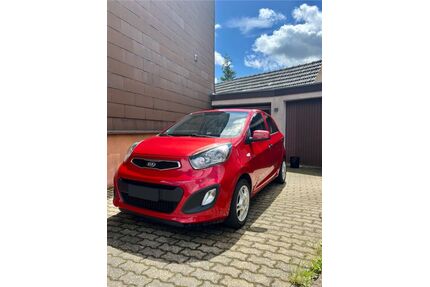 Kia Picanto Gebrauchtwagen