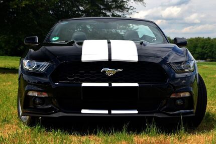 Ford Mustang Gebrauchtwagen