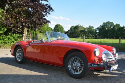 MG MGA Gebrauchtwagen