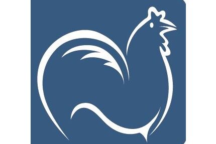 Mercedes-Benz C 300 Gebrauchtwagen