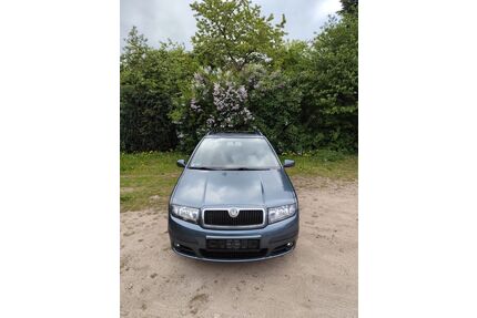 Skoda Fabia Gebrauchtwagen