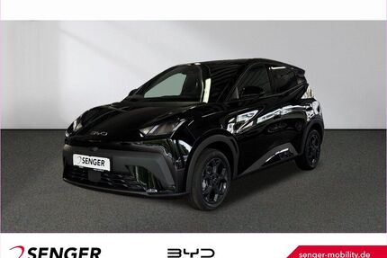 BYD DOLPHIN Gebrauchtwagen