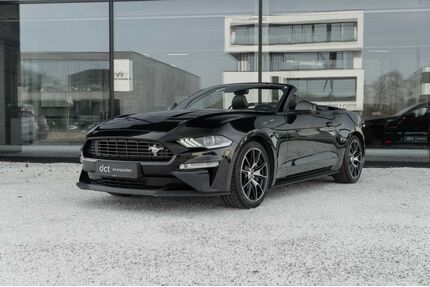 Ford Mustang Gebrauchtwagen