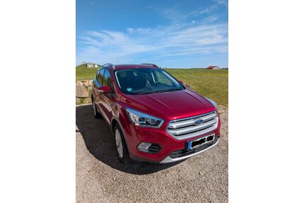 Ford Kuga Gebrauchtwagen