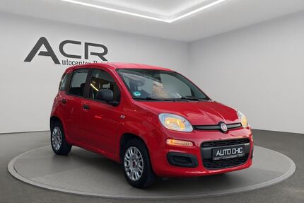 Fiat Panda Gebrauchtwagen