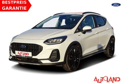 Ford Fiesta Gebrauchtwagen