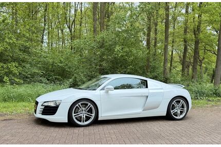Audi R8 Gebrauchtwagen
