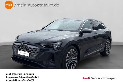 Audi Q8 e-tron Gebrauchtwagen