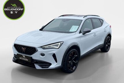 Cupra Formentor Gebrauchtwagen