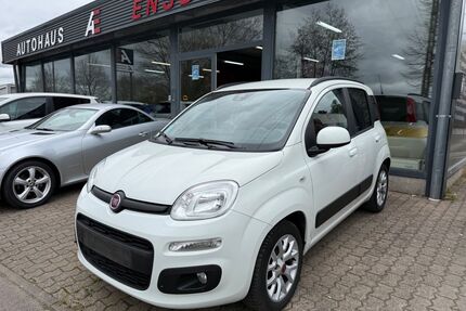 Fiat Panda Gebrauchtwagen