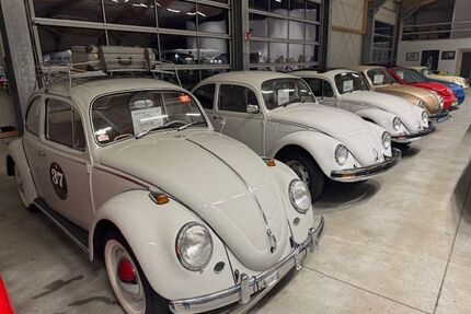 VW Käfer Gebrauchtwagen