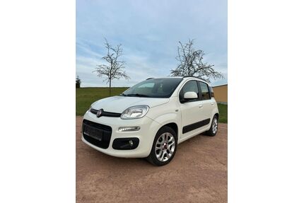 Fiat Panda Gebrauchtwagen