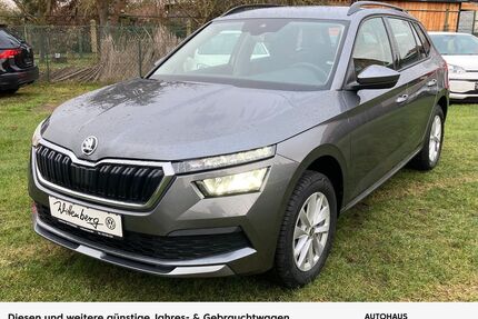 Skoda Kamiq Gebrauchtwagen