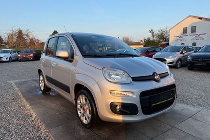 Fiat Panda Gebrauchtwagen