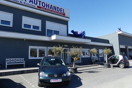 VW Polo Gebrauchtwagen