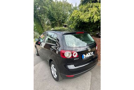 VW Golf Plus Gebrauchtwagen