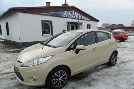 Ford Fiesta Gebrauchtwagen