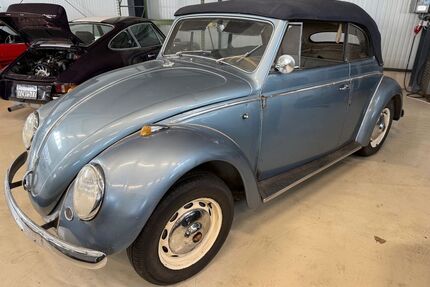 VW Käfer Gebrauchtwagen