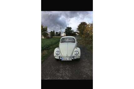 VW Käfer Gebrauchtwagen