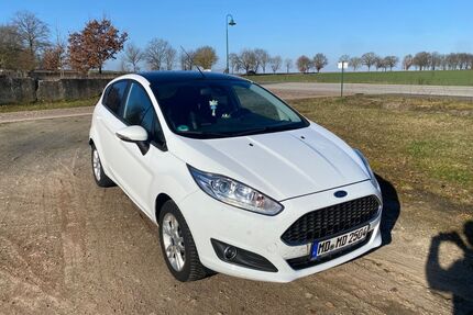 Ford Fiesta Gebrauchtwagen