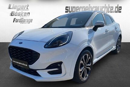 Ford Puma Gebrauchtwagen