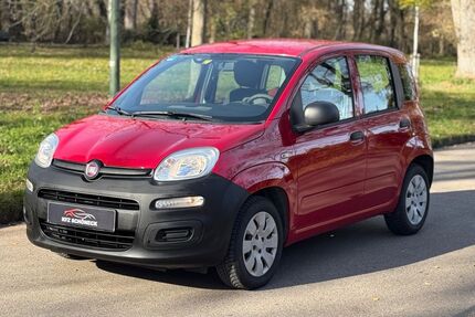 Fiat Panda Gebrauchtwagen