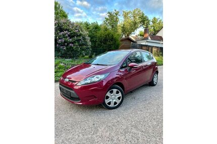 Ford Fiesta Gebrauchtwagen