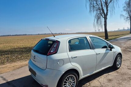 Fiat Punto Gebrauchtwagen