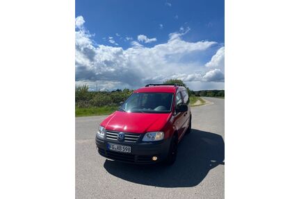 VW Caddy Gebrauchtwagen