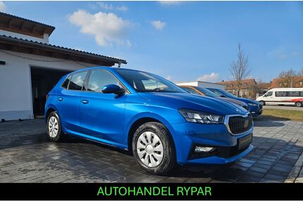 Skoda Fabia Gebrauchtwagen