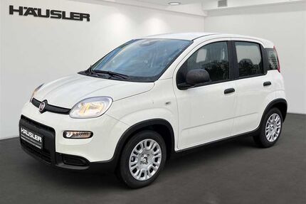 Fiat Panda Gebrauchtwagen