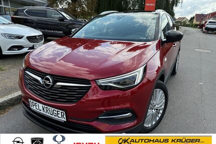 Opel Grandland (X) Gebrauchtwagen