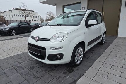 Fiat Panda Gebrauchtwagen