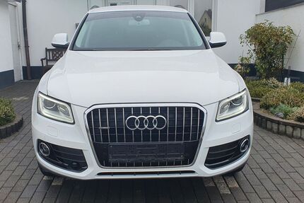 Audi Q5 Gebrauchtwagen