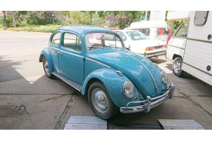 VW Käfer Gebrauchtwagen