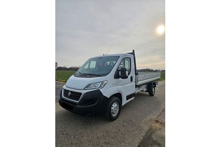 Fiat Ducato Gebrauchtwagen