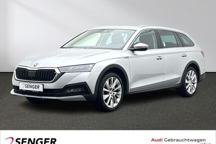 Skoda Octavia Gebrauchtwagen