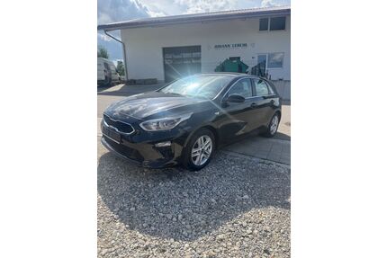 Kia ceed / Ceed Gebrauchtwagen