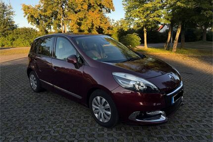 Renault Scenic Gebrauchtwagen
