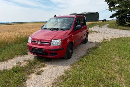 Fiat Panda Gebrauchtwagen