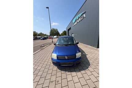 Fiat Panda Gebrauchtwagen