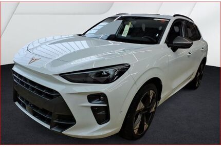 Cupra Terramar Gebrauchtwagen