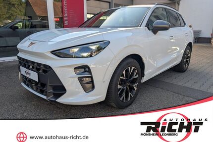 Cupra Terramar Gebrauchtwagen