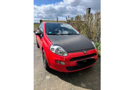 Fiat Punto Gebrauchtwagen