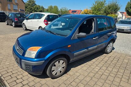 Ford Fusion Gebrauchtwagen