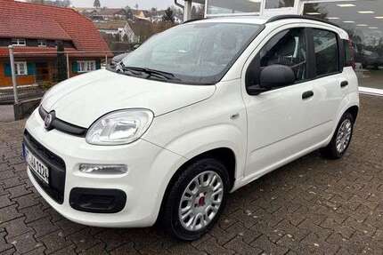 Fiat Panda Gebrauchtwagen