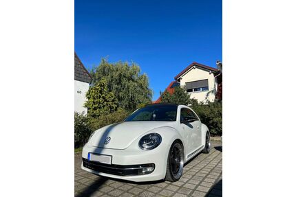 VW Beetle Gebrauchtwagen